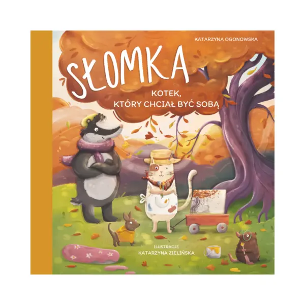 Słomka kotek, który chciał być sobą - okładka Okładka książki "Słomka kotek,który chciał być sobą" Katarzyny Ogonowskiej.